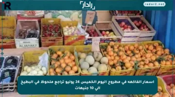 أسعار الفاكهة في مطروح اليوم الخميس 24 يوليو تراجع ملحوظ في البطيخ إلى 10 جنيهات